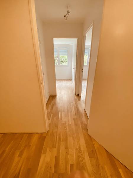 Rénovation des sols en parquet en bois massif