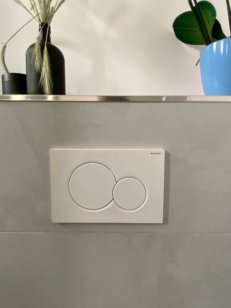 Fourniture et pose de WC suspendu